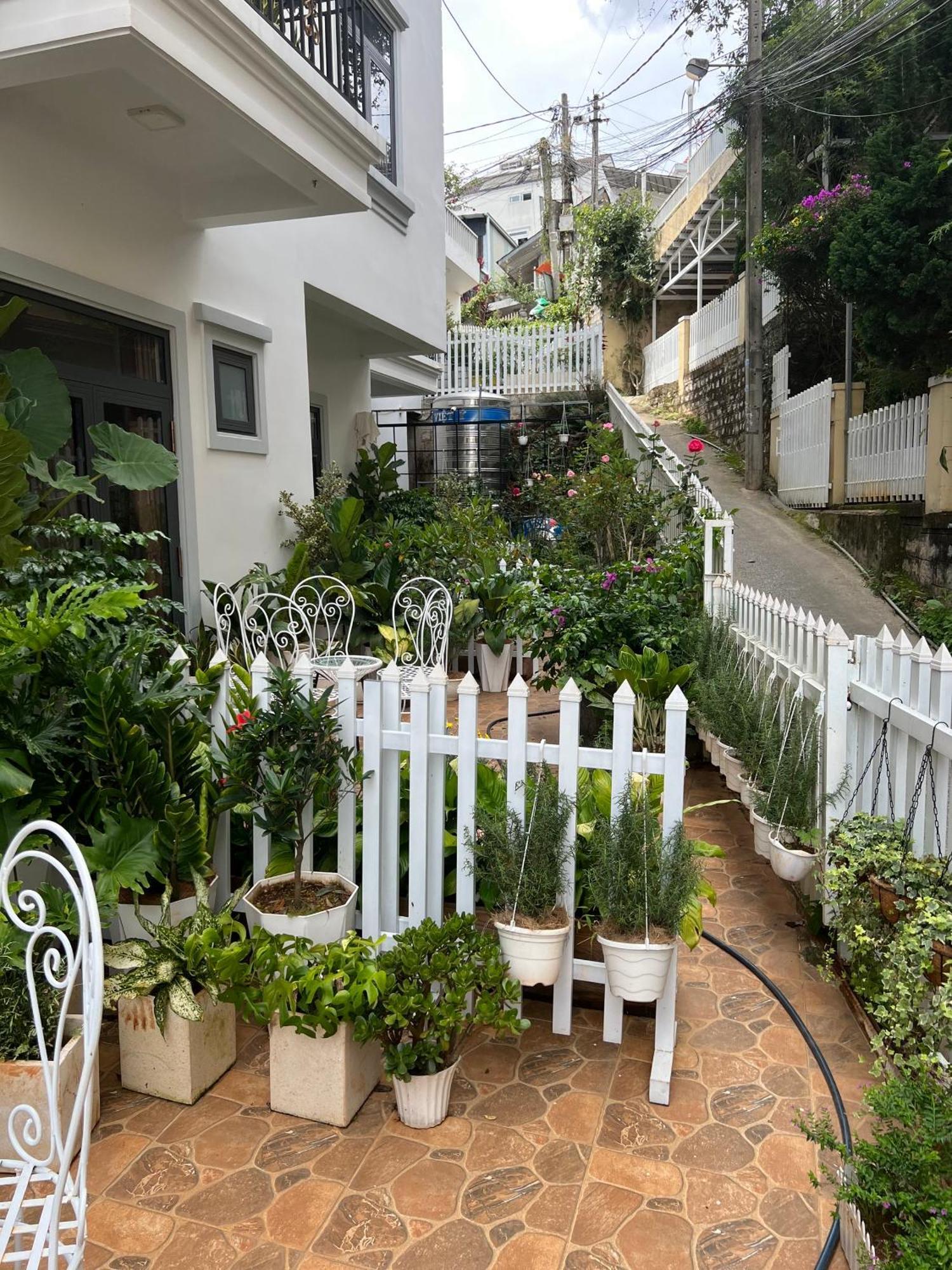 Hera Boutique Hotel ダラット エクステリア 写真